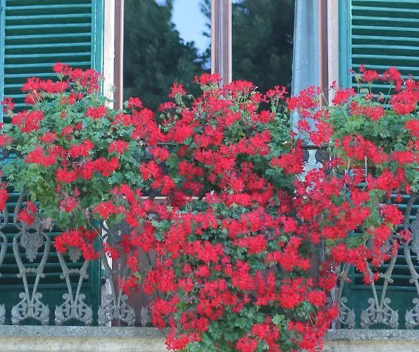 Bed & Breakfast Sant'andrea Siena