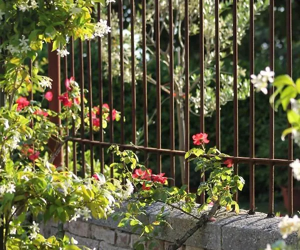 Bed & Breakfast Sant'andrea 4*