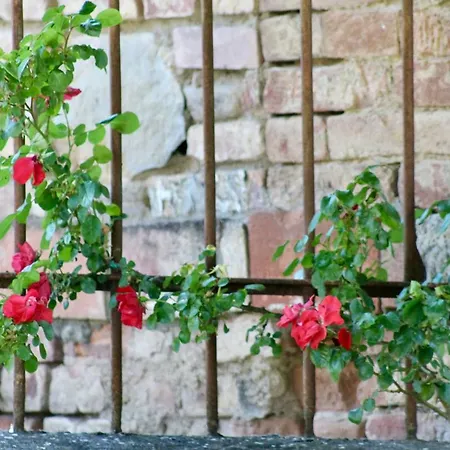 Sant'andrea Bed and Breakfast