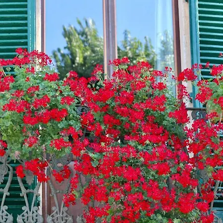Sant’andrea Bed & Breakfast