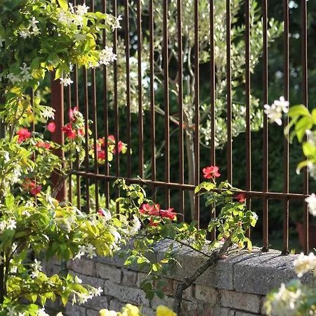 Bed and Breakfast Sant'andrea 4*