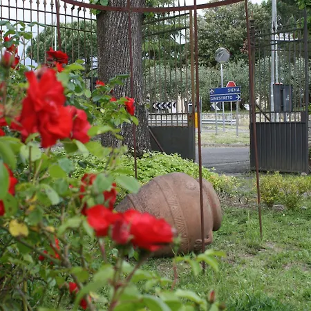 Sant'andrea Bed and Breakfast Σιένα