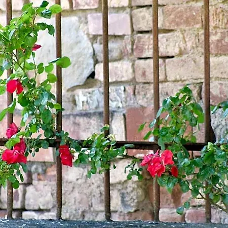 Villa Sant'Andrea Bed & Breakfast 4*