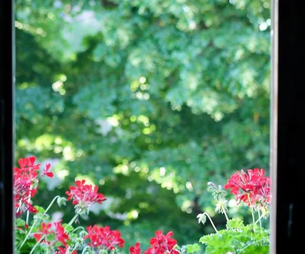 Sant'andrea Сієна