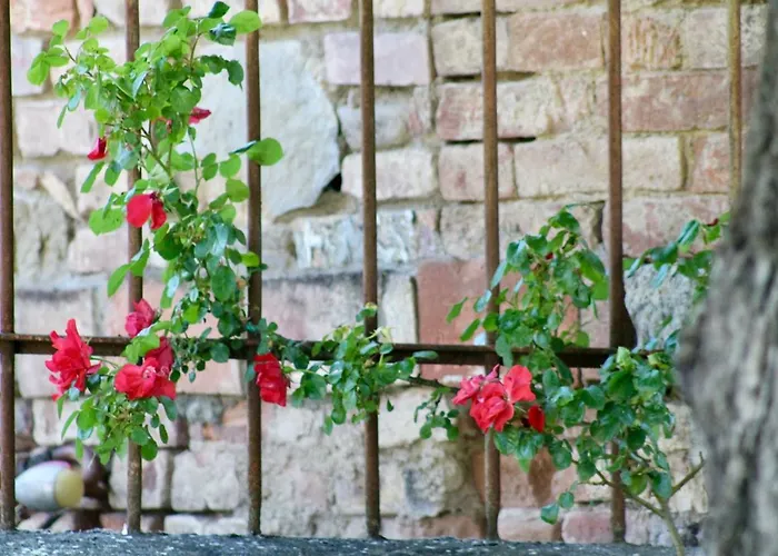 Sant'andrea Bed & Breakfast