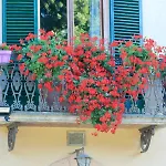 Sant'andrea فندق مبيت وإفطار سيينا